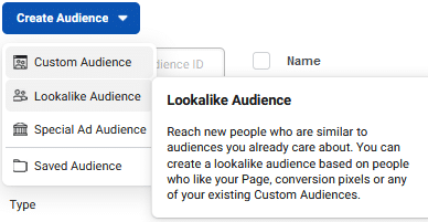 Create Audience - Lookalike Audience