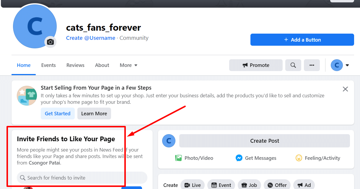 invite facebook friends to like your Facebook page