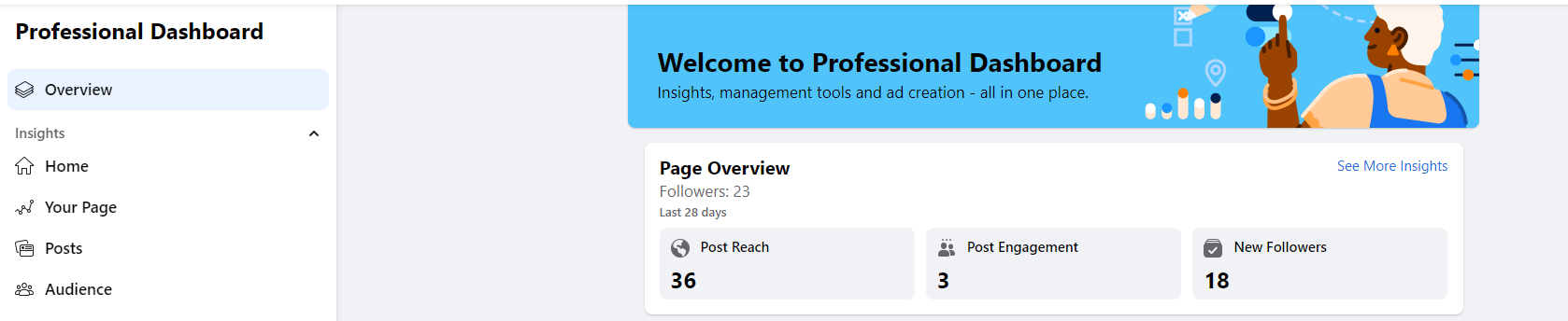 new Facebook page layout and design - Facebook professional dashboard