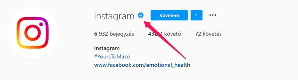 View of Instagram Recently Followed Viewer - See Recent Follows Instantly