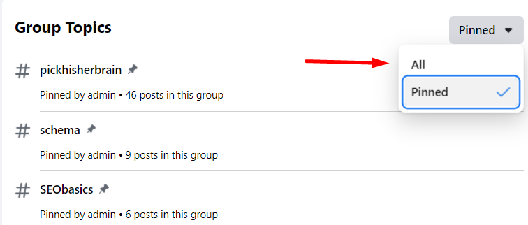 Facebook group topics pinned and listed